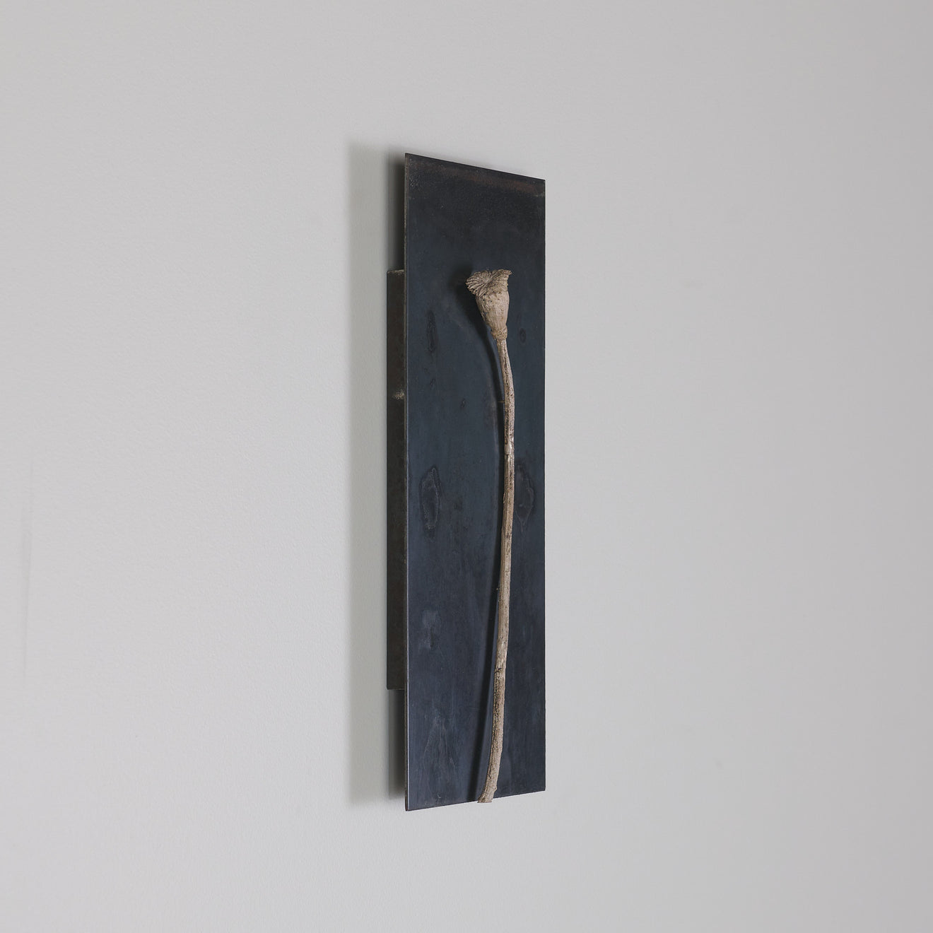 WALL PIECE WITH POPPY, AN HOMAGE TO ANSELM KEIFFER BY DIANE TINTOR